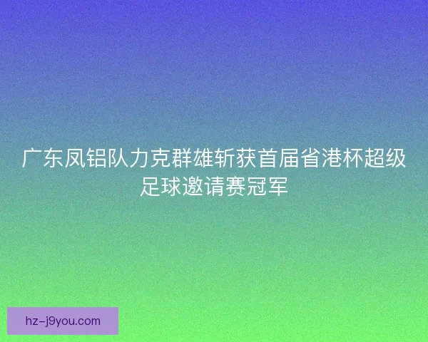 广东凤铝队力克群雄斩获首届省港杯超级足球邀请赛冠军 广东凤铝队力克群雄斩获首届省港杯超级足球邀请赛冠军