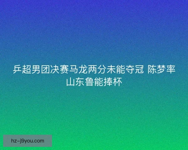 乒超男团决赛马龙两分未能夺冠 陈梦率山东鲁能捧杯